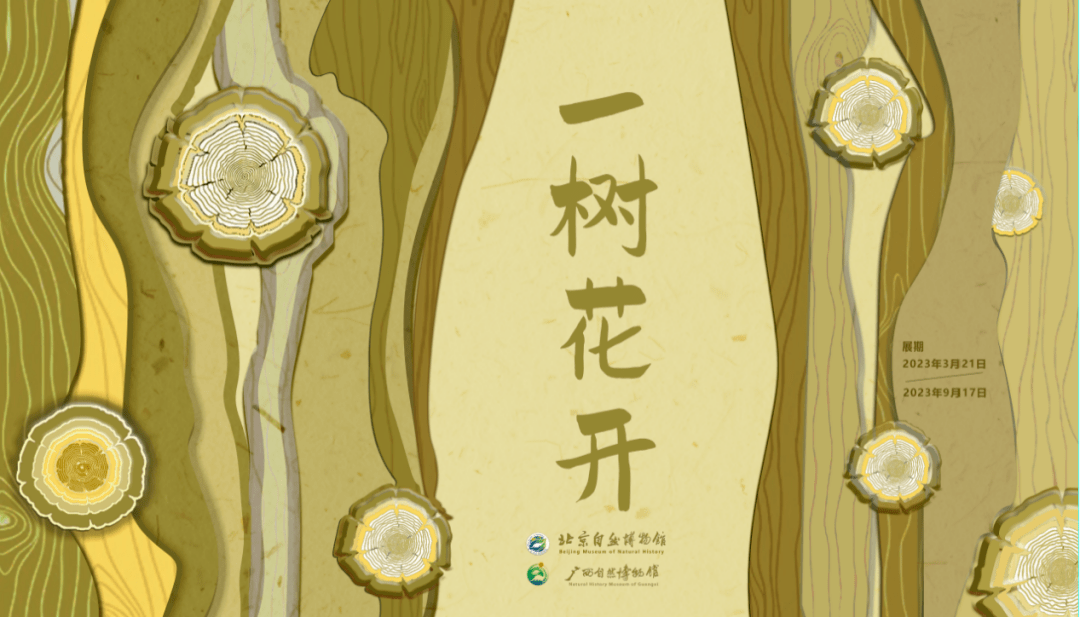 一树花开·中国树木文化展